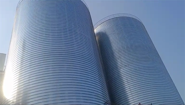 栾川2座混凝土高架卷板仓